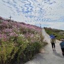 만경강길 1코스 이미지