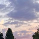 포레엠(Foret M) 이미지