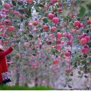 김인식농장 이미지