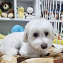 멈무는하루 이미지