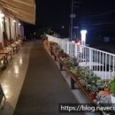 사랑손칼국수 이미지