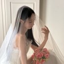 (주)스튜디오블룸 이미지