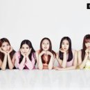 푸들리 이미지