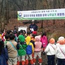 금오산 유아숲체험원 이미지