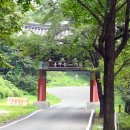 사나사주차장 이미지