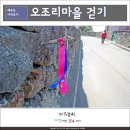 제주머물다 이미지