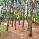 공굴안경로당 이미지