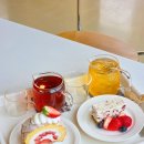 [강릉 카페] 카키, 요즘 푹빠진 케이크 맛집 존예 카페