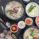 [미사맛집] 소&amp;돼지사골이 깔끔한 순대국 맛집 꿀꿀진순대 : 문어와 순대의 맛남