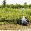 금강수변공원4 이미지