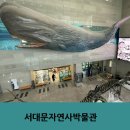 서대문자연사박물관(11월~2월) 이미지