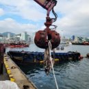 부산자갈치 이미지