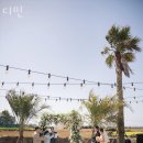 디민