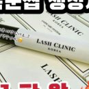 래쉬 유