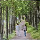 삶이 예술이 되는 수채화 이미지