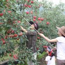 준모농장 이미지