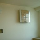 동양라디안루키 이미지