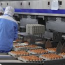 이윤 농장 이미지