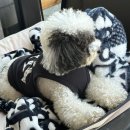 금복목장 | [제주여행] 북쪽코스 : 공항근처 일정 (우진해장국 점점 런던베이글 금복식당)