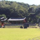 옥천 염소맛집 이미지