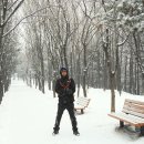 아싸가오리 이미지