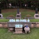 용산 국가유산 야행 티스토리