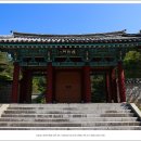 부소산성 낙화암 갈림길 이미지