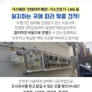 유신카센타 이미지