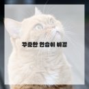 드로잉 기초 이미지