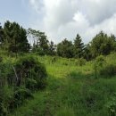 색달동-15 이미지