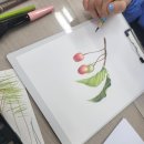 꽃그림 색연필화(보타니컬 아트) 이미지