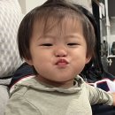 한스하우스 이미지