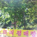 신창이용원