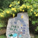 초이스골프연습장 | 베트남 골프 투어 나트랑 골프 빈펄CC 라운딩