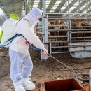 건수농장 이미지