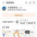 안다미로넷