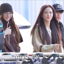 리사파크