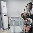 아이뽀 애견 유치원 호텔 이미지