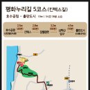 종합운동장 메타세콰이어길 이미지