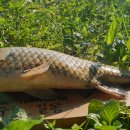 산정소류지 이미지