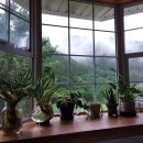 다이어트펜션 이미지