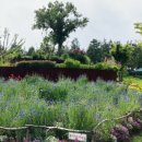 순천만국가정원 프랑스정원 화장실 이미지