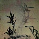 수월헌 - 2834 | 수월헌