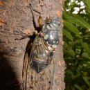 성산근린공원 이미지