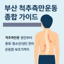 부산보조기 | 부산 척추측만운동 가이드 | 척추측만증 원인·슈로스 운동·보조기 선택