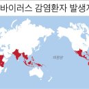 그래픽바이러스 이미지