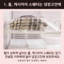 지혜패션