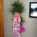 대아약업사 Daum카페