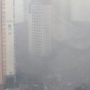 메타폴리스(중) 이미지