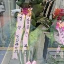미즈노순천연향 이미지